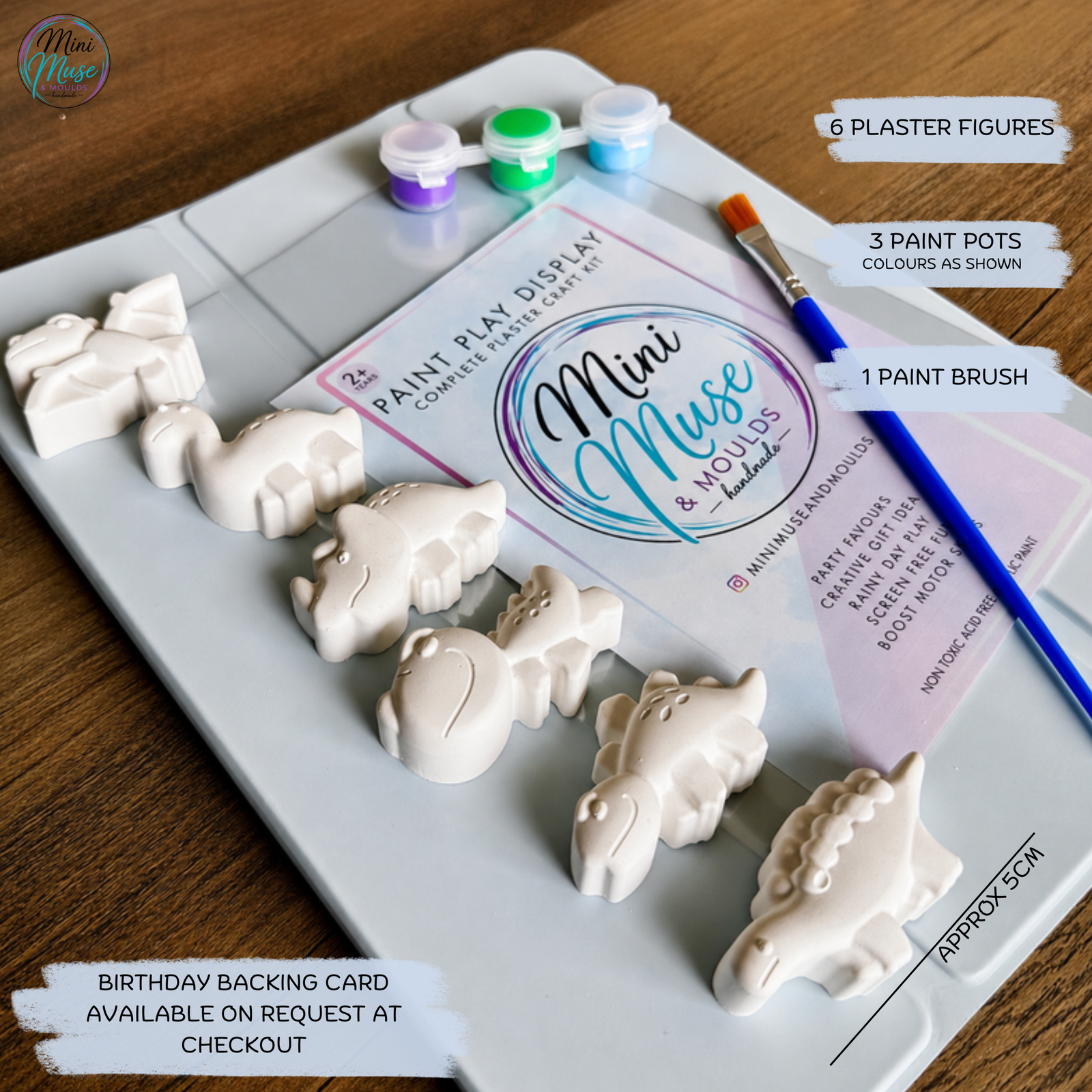 Dinosaur footprint ready-to-paint plaster craft kit, perfect for dinosaur birthday party activities and party bag fillers.